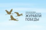 Муравленковцы могут принять участие в фестивале «Журавли Победы»