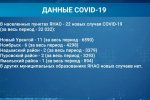 За сутки на Ямале – 23 новых случая коронавируса