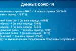 За сутки на Ямале – 19 новых случаев коронавируса