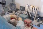 За сутки на Ямале – 125 новых случаев коронавируса
