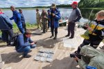 2,7 млн мальков пеляди выпустили в реки при поддержке «Газпромнефть-Ноябрьскнефтегаза»