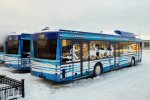 Для ямальских городов в этом году закупили 40 новых автобусов
