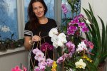 70 оттенков экзотики, или Почему паяльник – лучший подарок для орхомана
