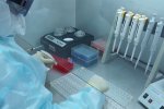 1 763 новых случая коронавируса выявлено за сутки на Ямале