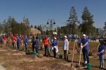 В Муравленко высадили деревья в рамках акции «Сад памяти»