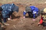 Поисковики нашли останки 30 красноармейцев