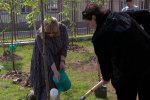 Муравленковские общественники высадили сад памяти