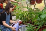 Детские сады города реализуют проект «Ботаникус»