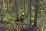 В лесах Ямала до 23 августа введён запрет на посещение гражданами