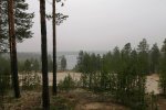 На Ямале сняли запрет на посещение лесов