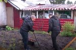 Муравленковские дачники собирают  урожай
