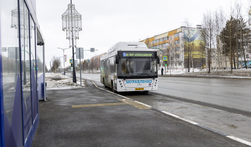 В Радоницу в Муравленко организуют движение автобуса до кладбища