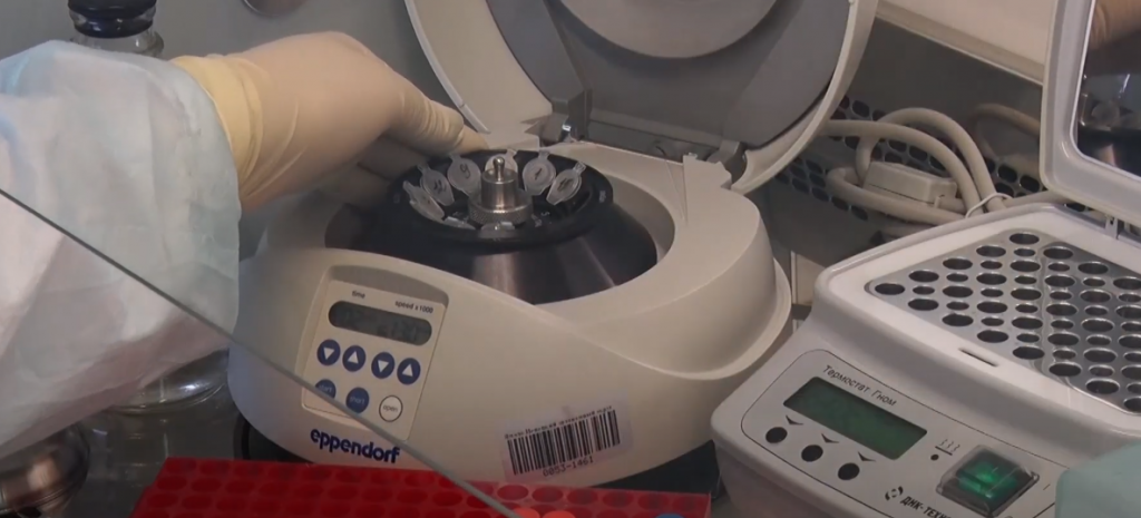 За сутки на Ямале – 17 новых случаев коронавируса