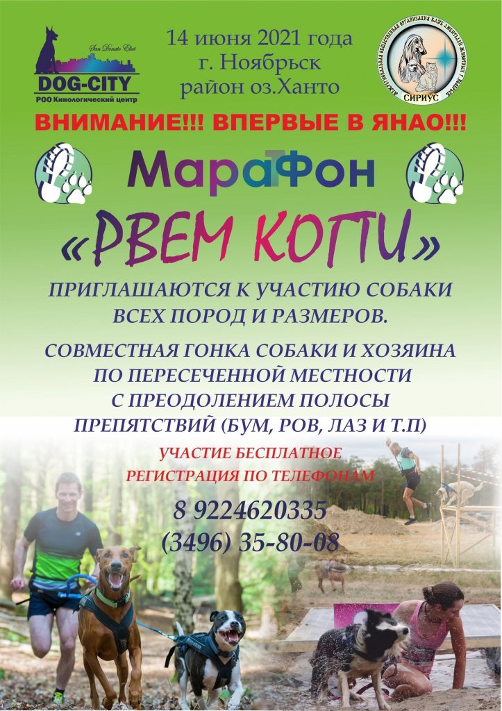 «Рвём когти». Владельцев собак приглашают на экстремальные гонки в Ноябрьск