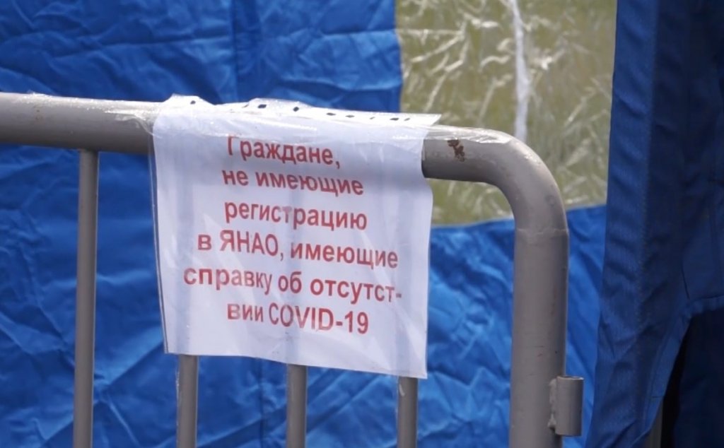 На Ямале установили срок годности антител к коронавирусу