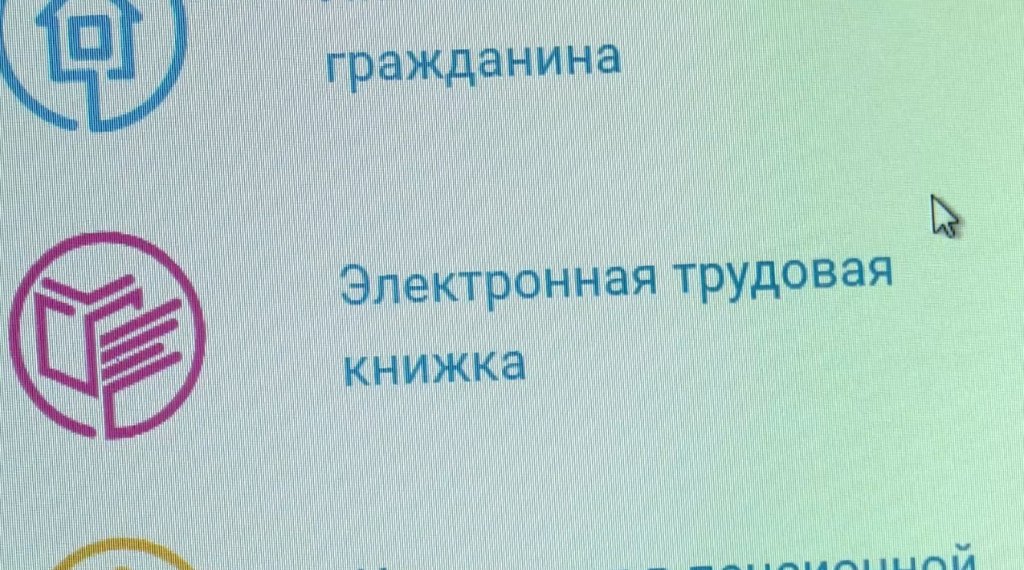 На Ямале электронные трудовые выбрали более 33 тысяч человек
