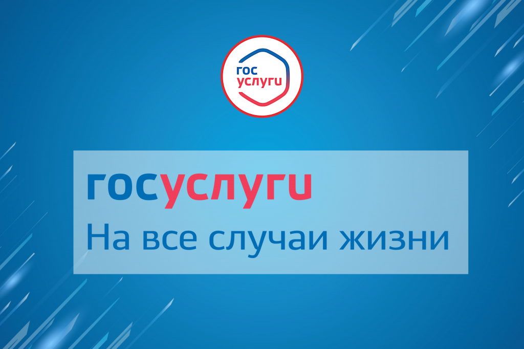Для ямальцев на портале «Госуслуги» запустят в работу 51 государственную услугу