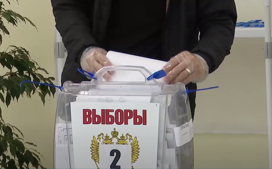 С чем идут в Государственную Думу кандидаты в депутаты?