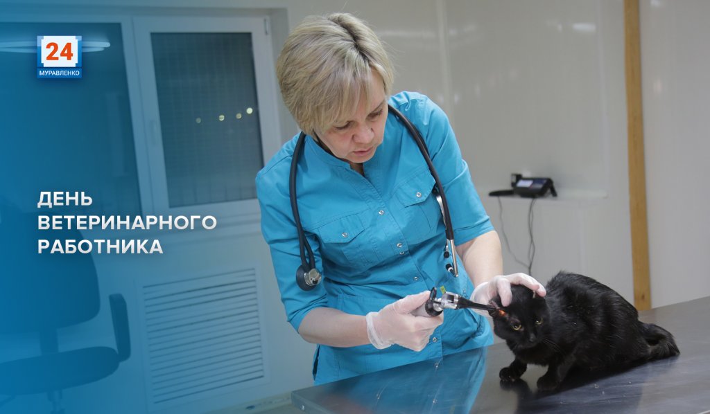 Сотрудники ветслужбы отмечают профессиональный праздник