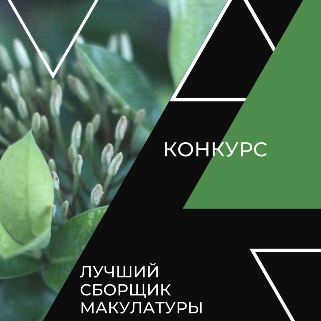 «Лучший сборщик макулатуры». Учреждения города поборются в экологическом конкурсе