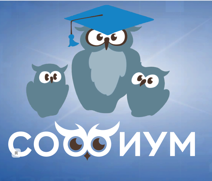 Лицеисты примут участие в олимпиаде «Софиум»