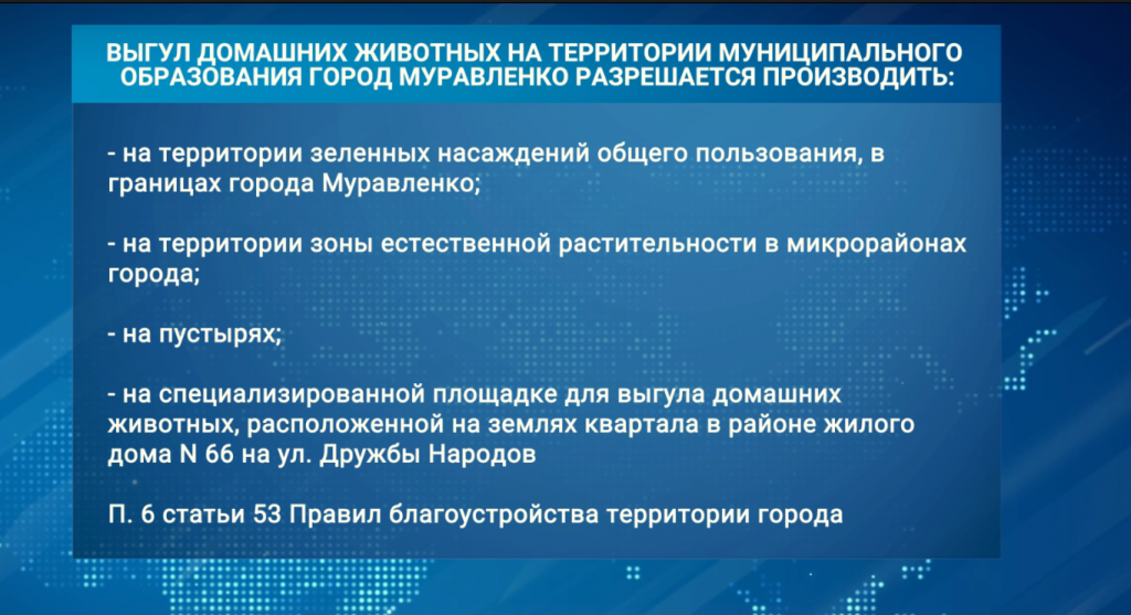 На Ямале с 1 января появятся новые штрафы