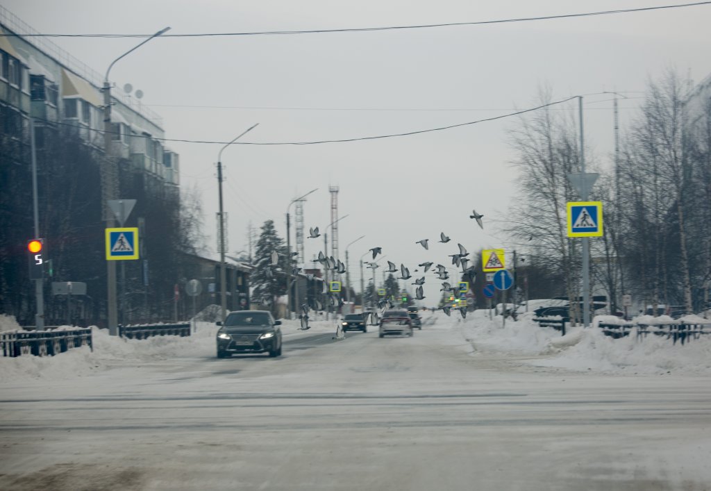 Зарегистрировать автомобиль можно через портал «Госуслуги»
