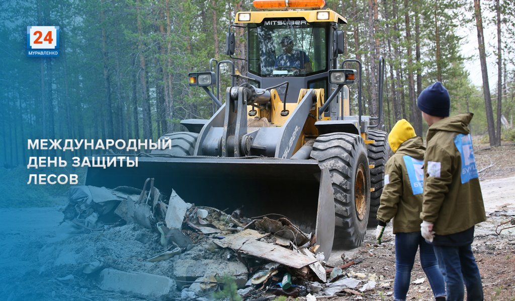 Легкие нашей планеты. Сегодня отмечают Международный день защиты лесов
