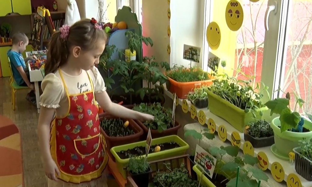 Дошкольники города участвуют в экологическом конкурсе