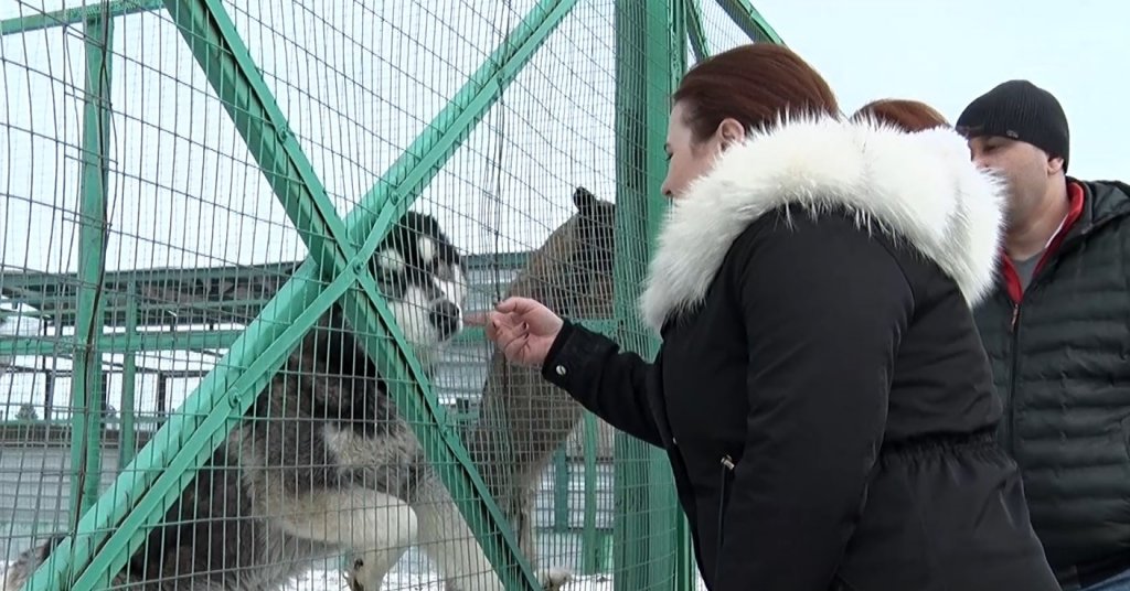 Муравленковцы могут помочь собрать «ZOO сумку»