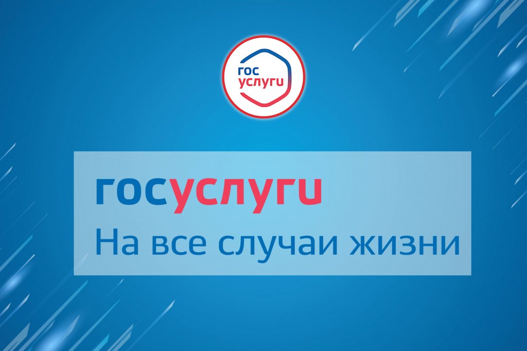 На «Госуслугах» появится 7 новых позиций