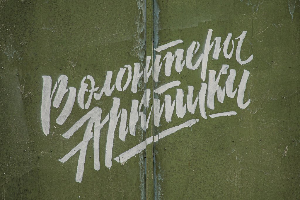 Муравленковцев приглашают принять участие в спецпроекте «Зелёная Арктика»