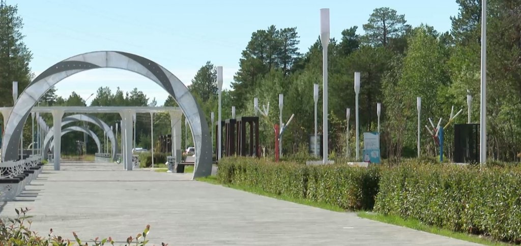 В городе появились живые изгороди