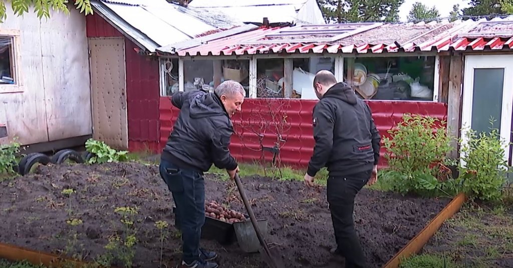 Муравленковские дачники собирают  урожай