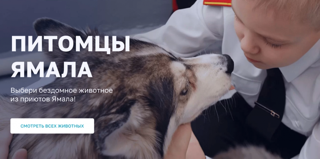 На портале «Живём на Севере» заработал раздел «Питомцы Ямала»