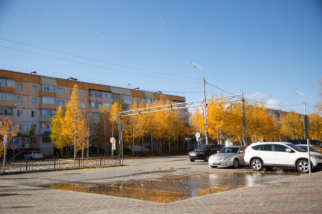 Госавтоинспекторы просят водителей «переобуться»