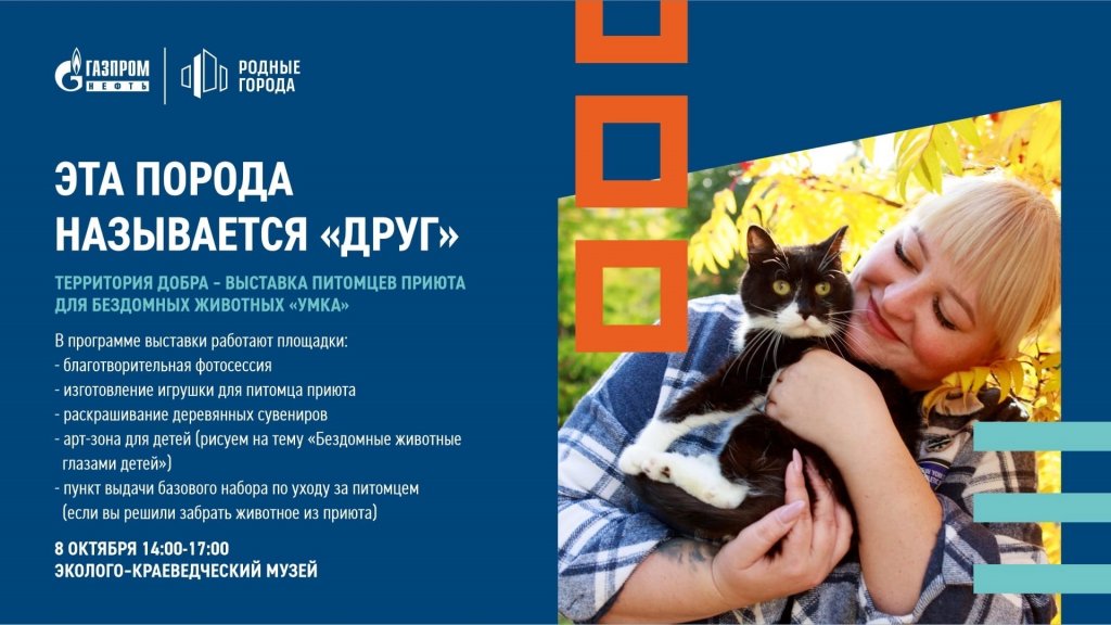 В музее пройдет выставка бездомных животных