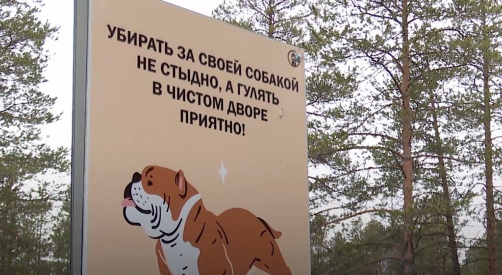 Порядок вокруг – в руках каждого из нас