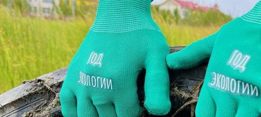 Год экологии: более 200 событий под «зелёным» знаком провели в городе