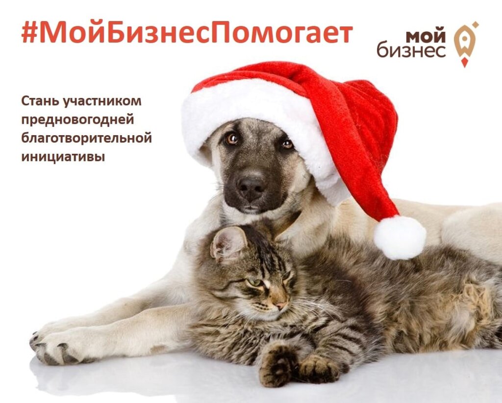 Центр «Мой бизнес» проводит благотворительную акцию