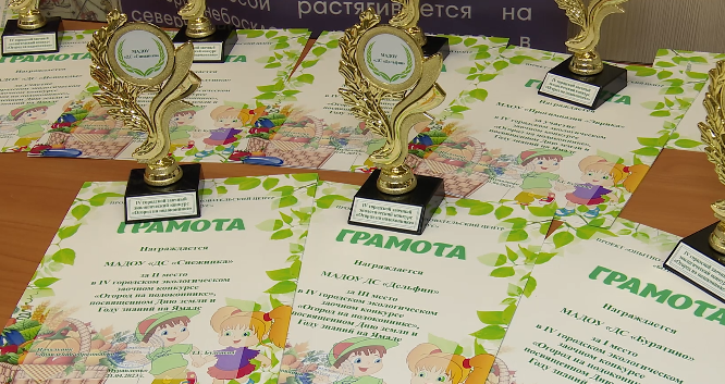 «Огород на подоконнике». Названы победители экологического конкурса
