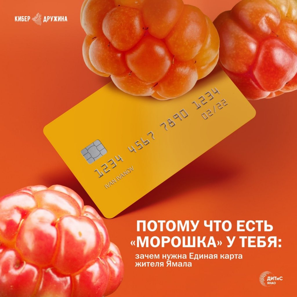 Почти 20 тысяч ямальцев уже стали пользователями карты «Морошка»