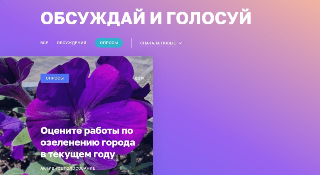 Муравленковцы могут оценить работы по озеленению
