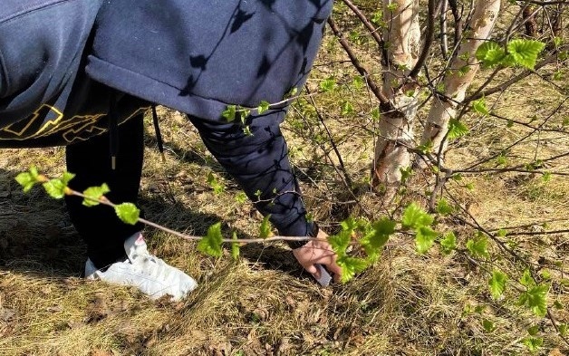 На Ямале с начала года из незаконного оборота изъято более восьми килограмм наркотиков
