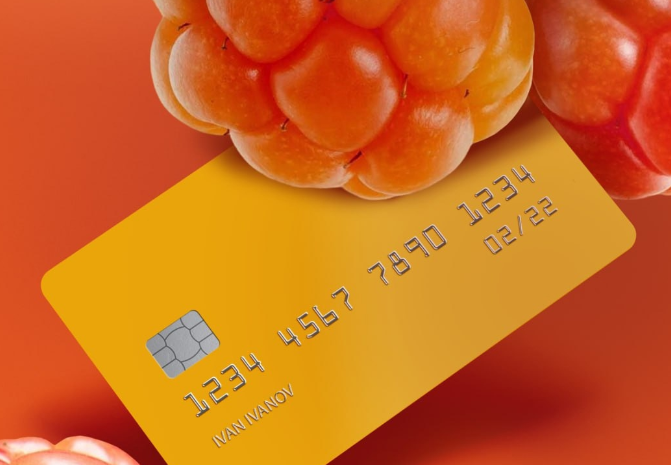 Северяне подключаются к карте «Морошка»