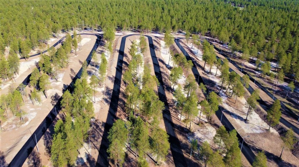 Лыжероллерную трассу откроют 25 декабря