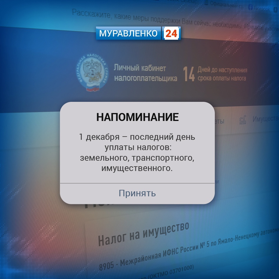 Сегодня последний день уплаты налогов