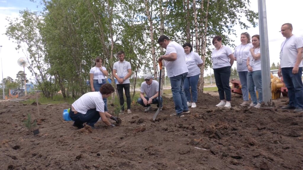 Студенты Муравленко и педагоги из Волновахи посадили деревья в сквере дружбы