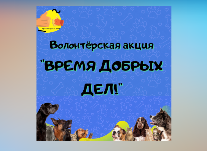 Муравленковцы могут оказать помощь приюту «Умка»