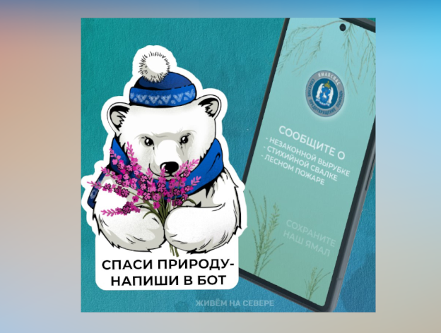 Северяне смогут сообщать об экологических нарушениях через специальный бот